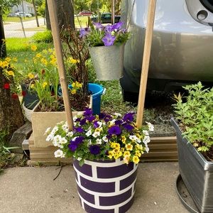 Meet your Posher, Belinda